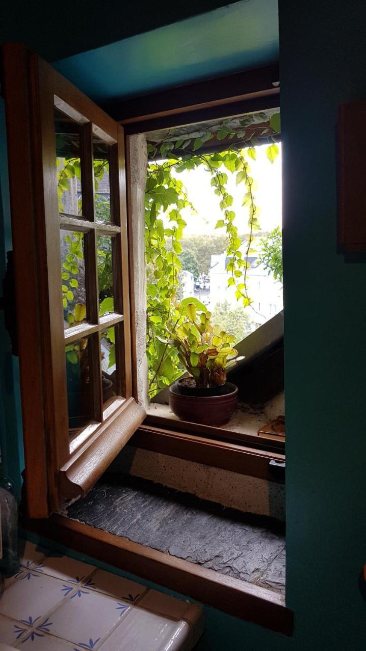 Le Petit Logis De Tinteniac Анже Екстериор снимка